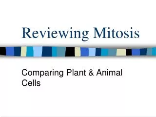 Reviewing Mitosis