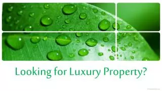Luxury Property For Sale? Check 70 PALM AV Miami Beach Flori