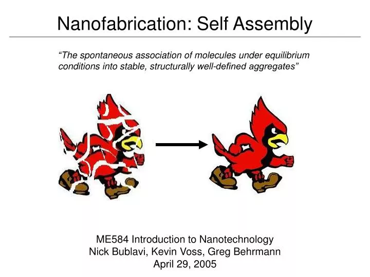 nanofabrication self assembly