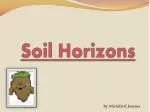 Soil Horizons - slide 1