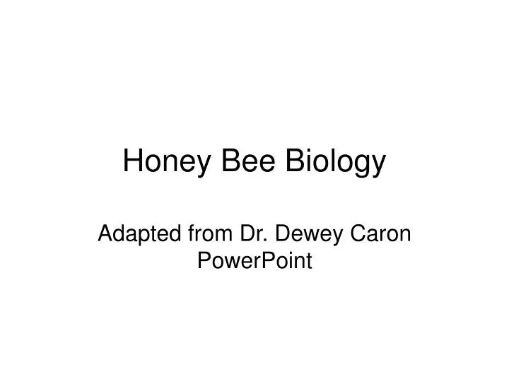 honey bee biology