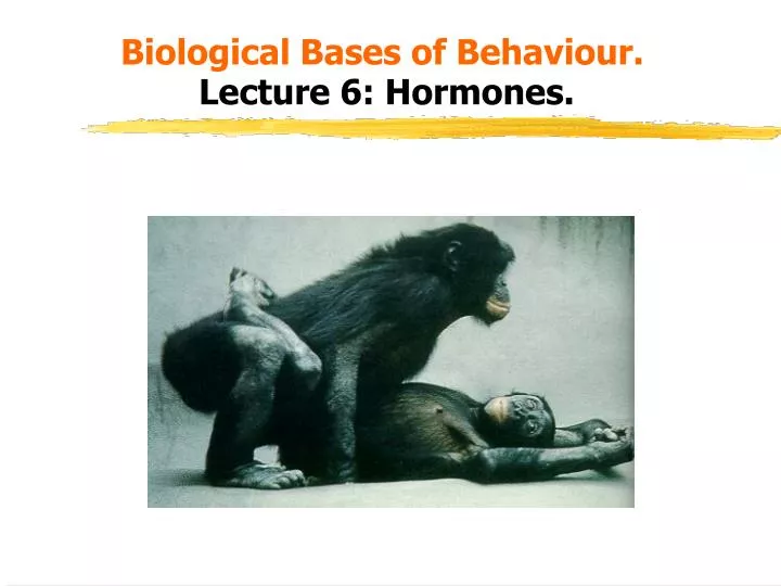 biological bases of behaviour lecture 6 hormones