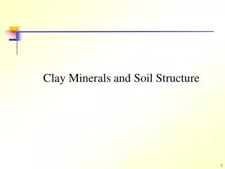 Clay Minerals and Soil Structure