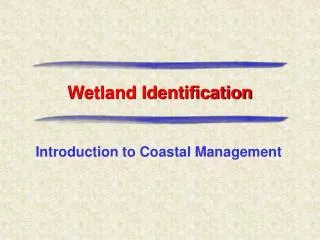 Wetland Identification