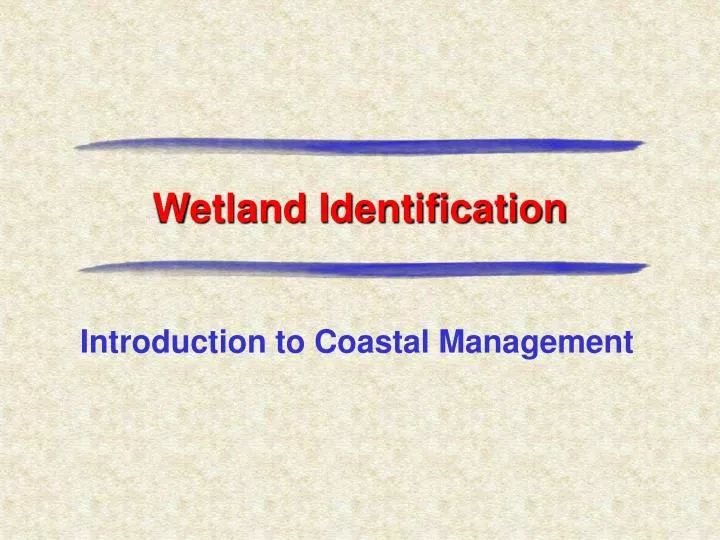 wetland identification