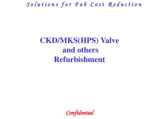 CKD/MKS(HPS) Valve and others Refurbishment