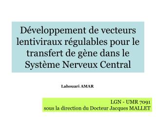 Développement de vecteurs lentiviraux régulables pour le transfert de gène dans le Système Nerveux Central