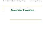 Molecular Evolution - slide 1