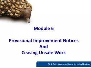 Module 6 Provisional Improvement Notices And Ceasing Unsafe Work