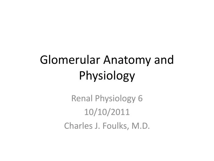 glomerular anatomy and physiology