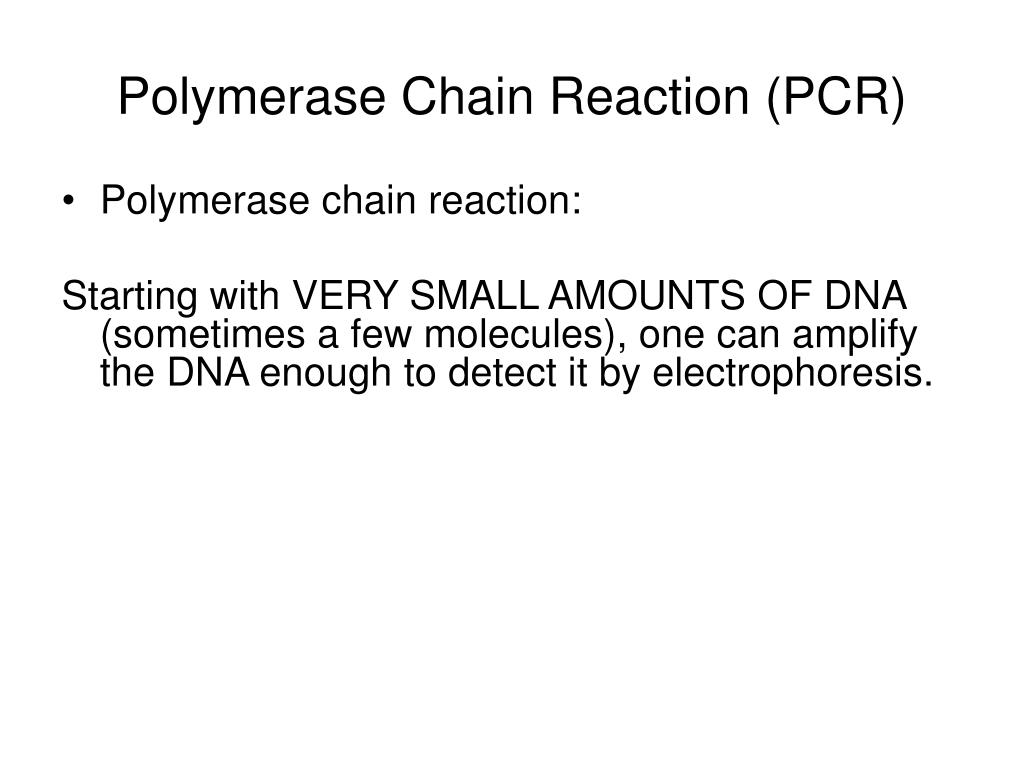 PPT - Polymerase Chain Reaction (PCR) PowerPoint Presentation, free ...