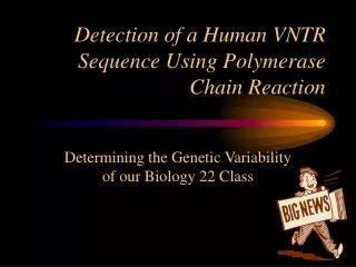 Detection of a Human VNTR Sequence Using Polymerase Chain Reaction