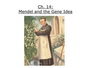 Ch. 14: Mendel and the Gene Idea