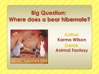 Big Question: Where does a bear hibernate?