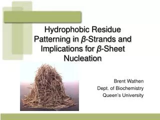 Hydrophobic Residue Patterning in ? -Strands and Implications for ? -Sheet Nucleation
