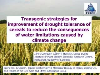 Transgenic strategies for improvement of drought tolerance of cereals to reduce the consequences of water limitations ca