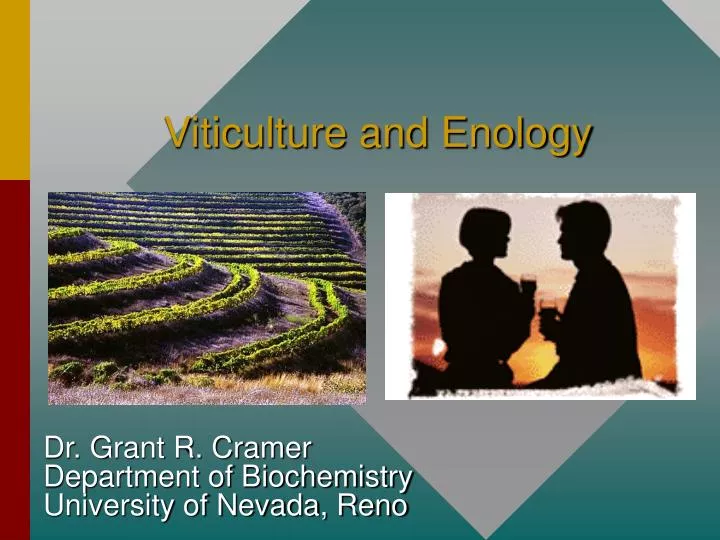 viticulture and enology