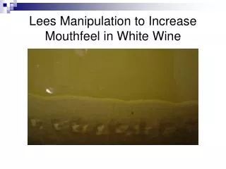 Lees Manipulation to Increase Mouthfeel in White Wine