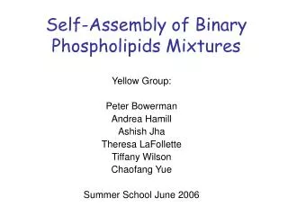 Self-Assembly of Binary Phospholipids Mixtures