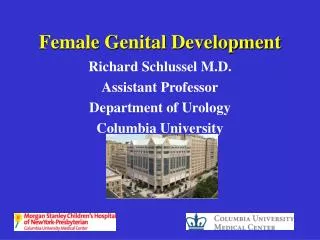 Female Genital Development