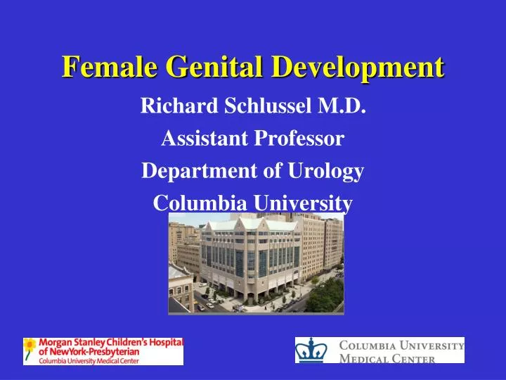 female genital development