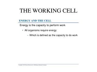 THE WORKING CELL