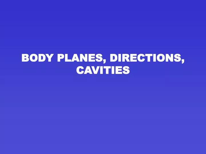 body planes directions cavities