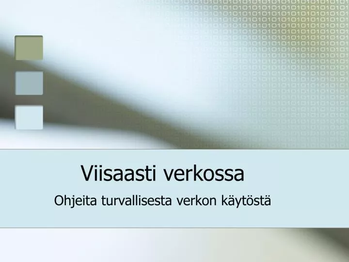 viisaasti verkossa