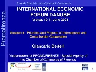 INTERNATIONAL ECONOMIC FORUM DANUBE Vratsa, 10-11 June 2008