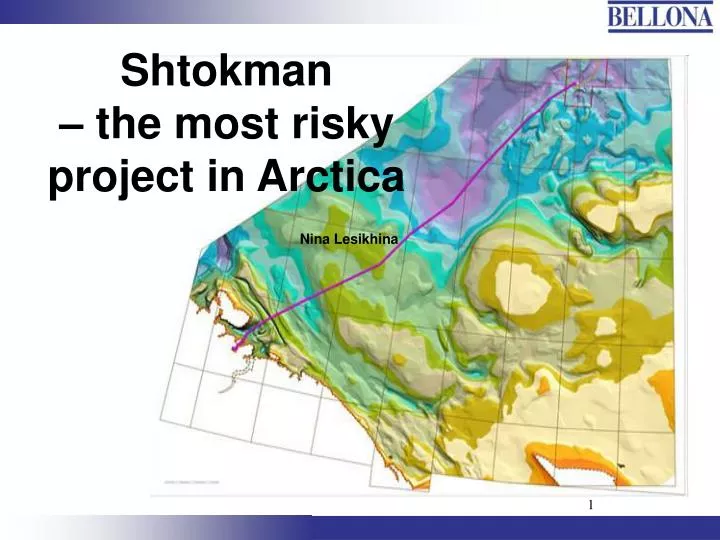 shtokman the most risky project in arctica nina lesikhina