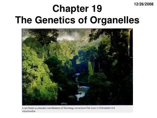 Chapter 19 The Genetics of Organelles