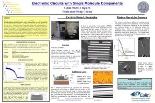 Electronic Circuits with Single Molecule Components