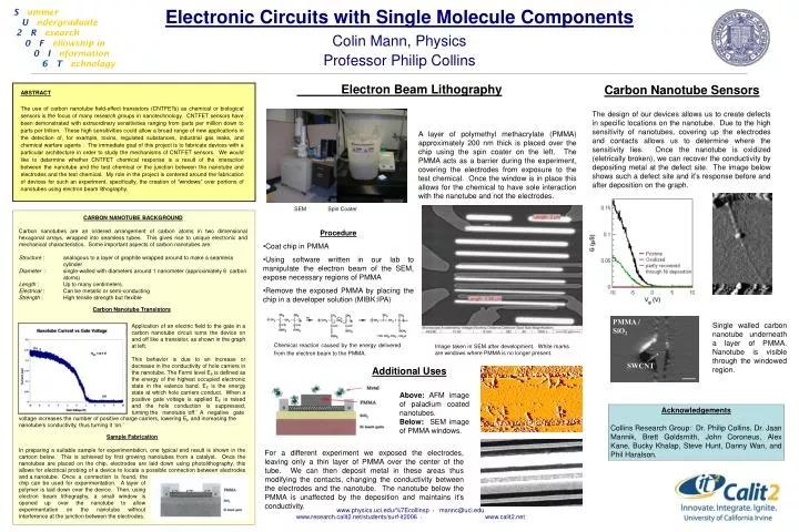 electronic circuits with single molecule components