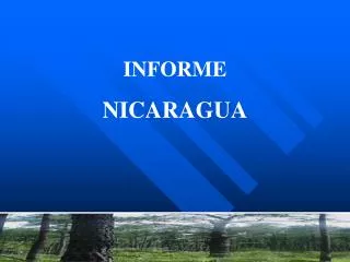 INFORME NICARAGUA