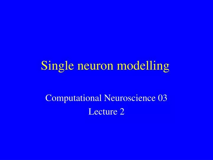 single neuron modelling