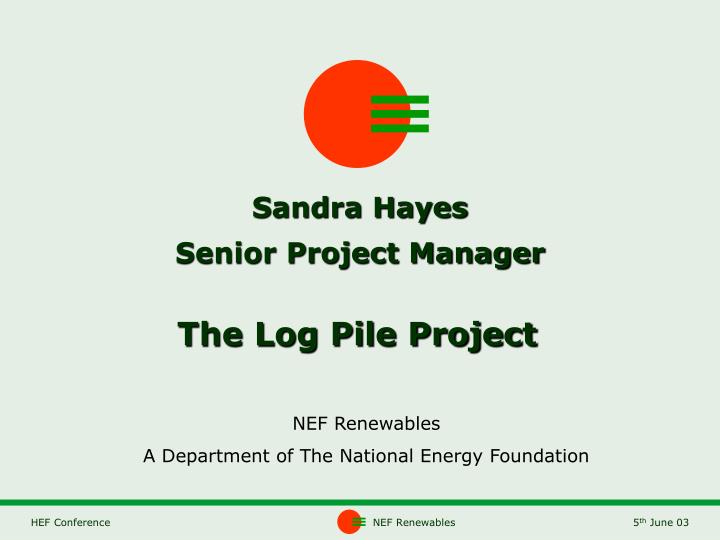 sandra hayes senior project manager