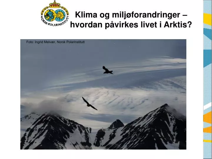 klima og milj forandringer hvordan p virkes livet i arktis