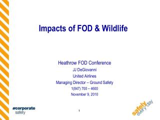 Impacts of FOD &amp; Wildlife