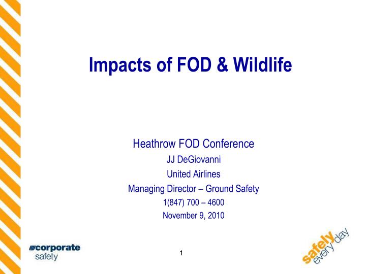 impacts of fod wildlife