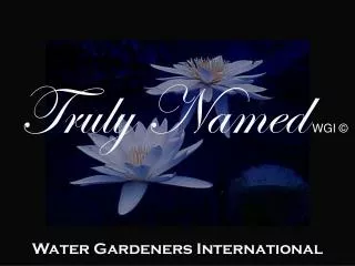 Water Gardeners International