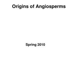 Origins of Angiosperms