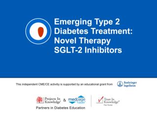 Emerging Type 2 Diabetes Treatment: Novel Therapy SGLT-2 Inhibitors