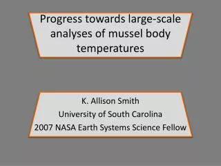Progress towards large-scale analyses of mussel body temperatures