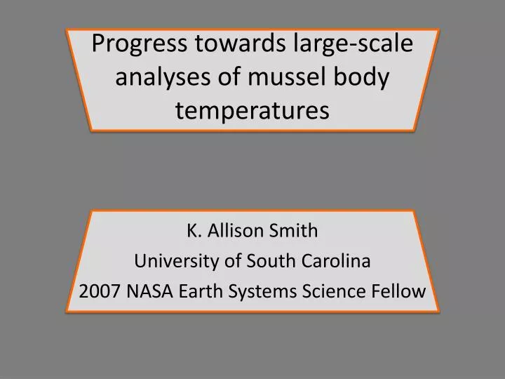progress towards large scale analyses of mussel body temperatures