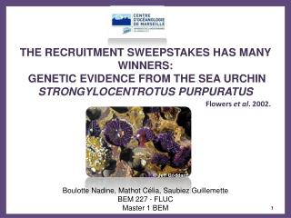 THE RECRUITMENT SWEEPSTAKES HAS MANY WINNERS: GENETIC EVIDENCE FROM THE SEA URCHIN STRONGYLOCENTROTUS PURPURATUS