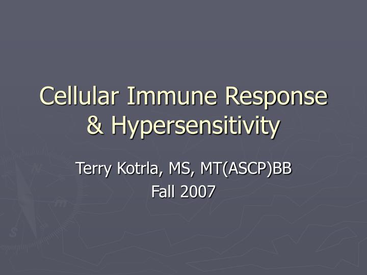 cellular immune response hypersensitivity