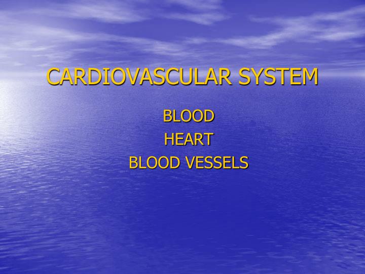 cardiovascular system