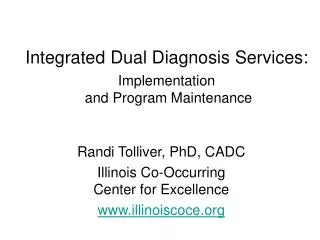 Integrated Dual Diagnosis Services: Implementation and Program Maintenance