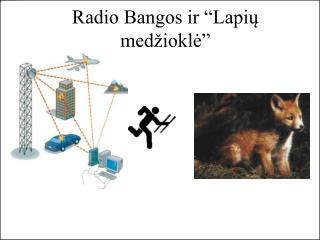 Radio Bangos ir “Lapių medžioklė”