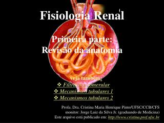 Fisiologia Renal Primeira parte: Revisão da anatomia